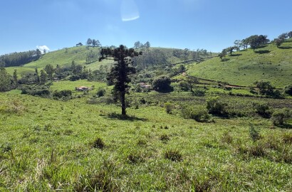 Terreno rural para venda em Dom Viçoso MG