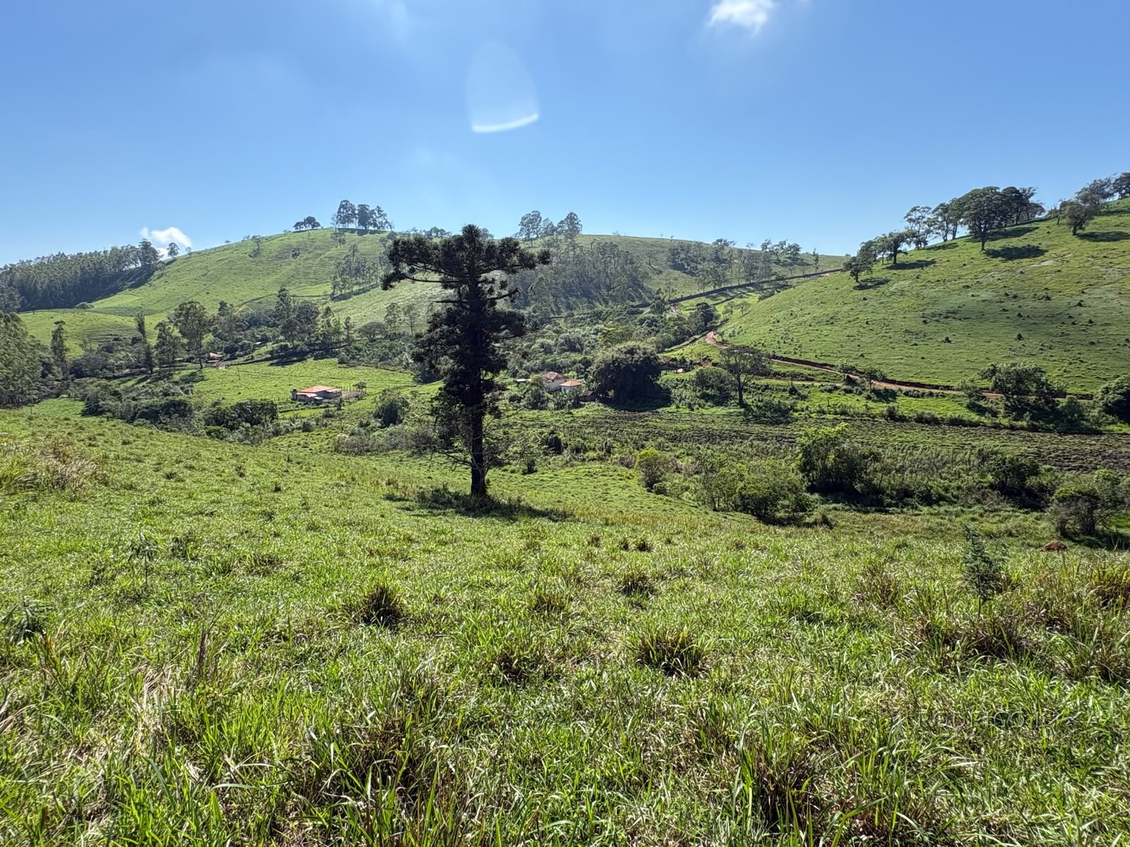 Terreno rural para venda em Dom Viçoso MG