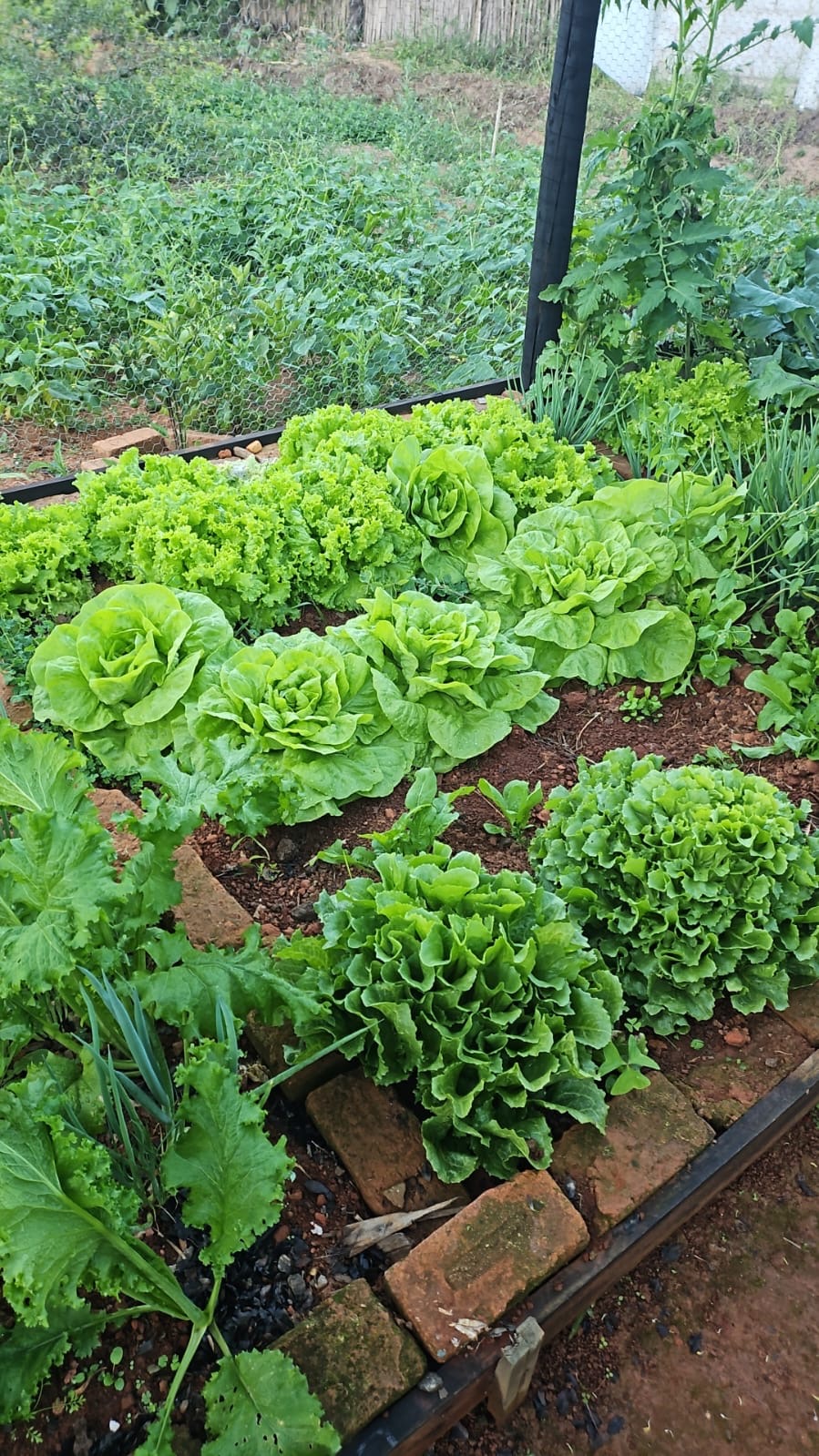 Chácara para venda em Caxambu MG.
