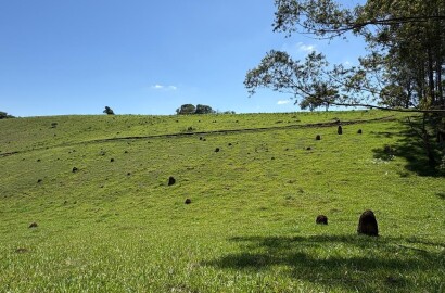 Terreno Rural para venda em Dom Viçoso MG