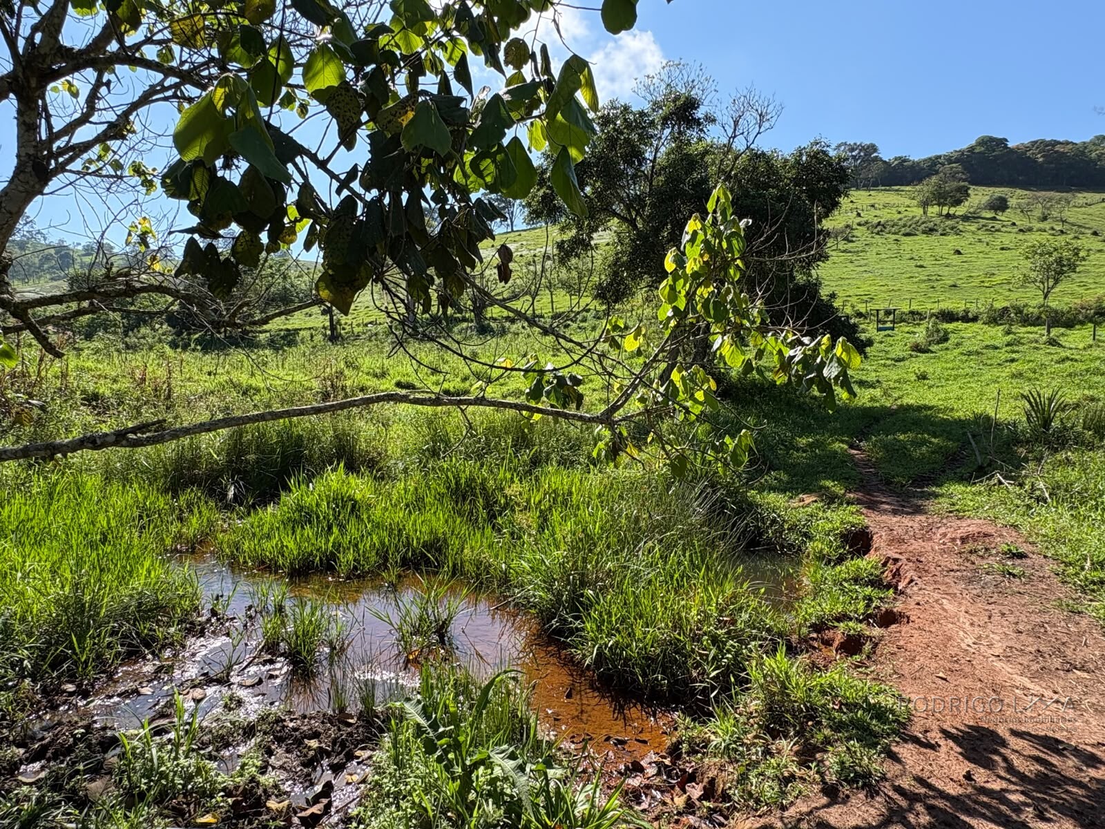 Terreno rural para venda em Dom Viçoso MG