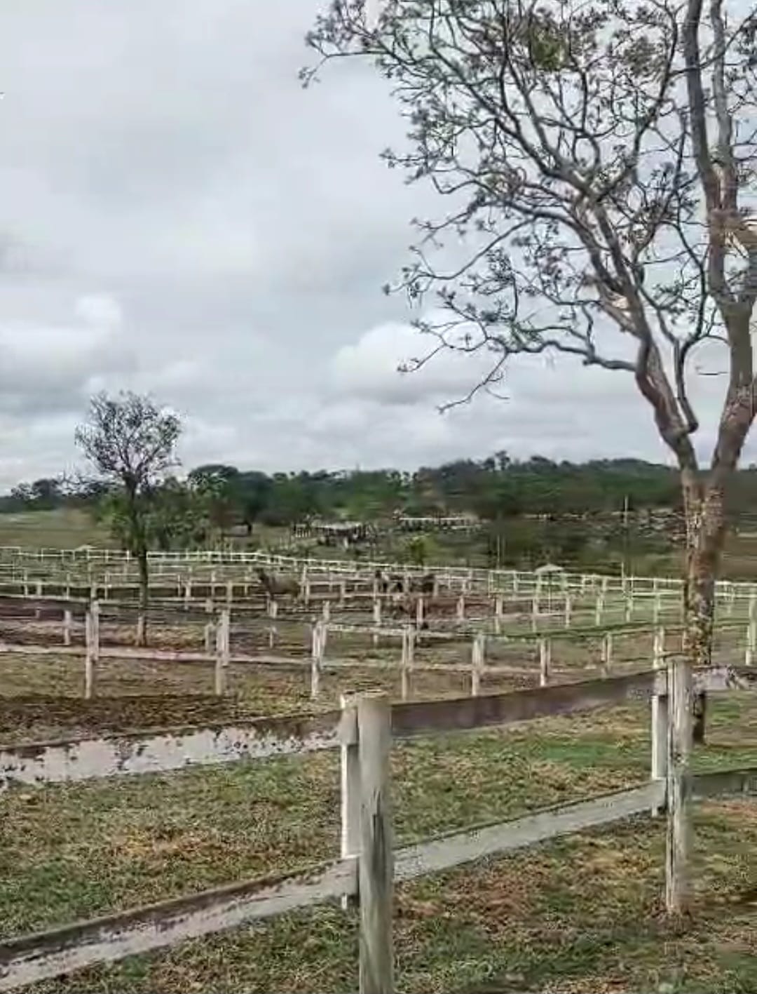 Fazenda para venda em Curvelo Mg