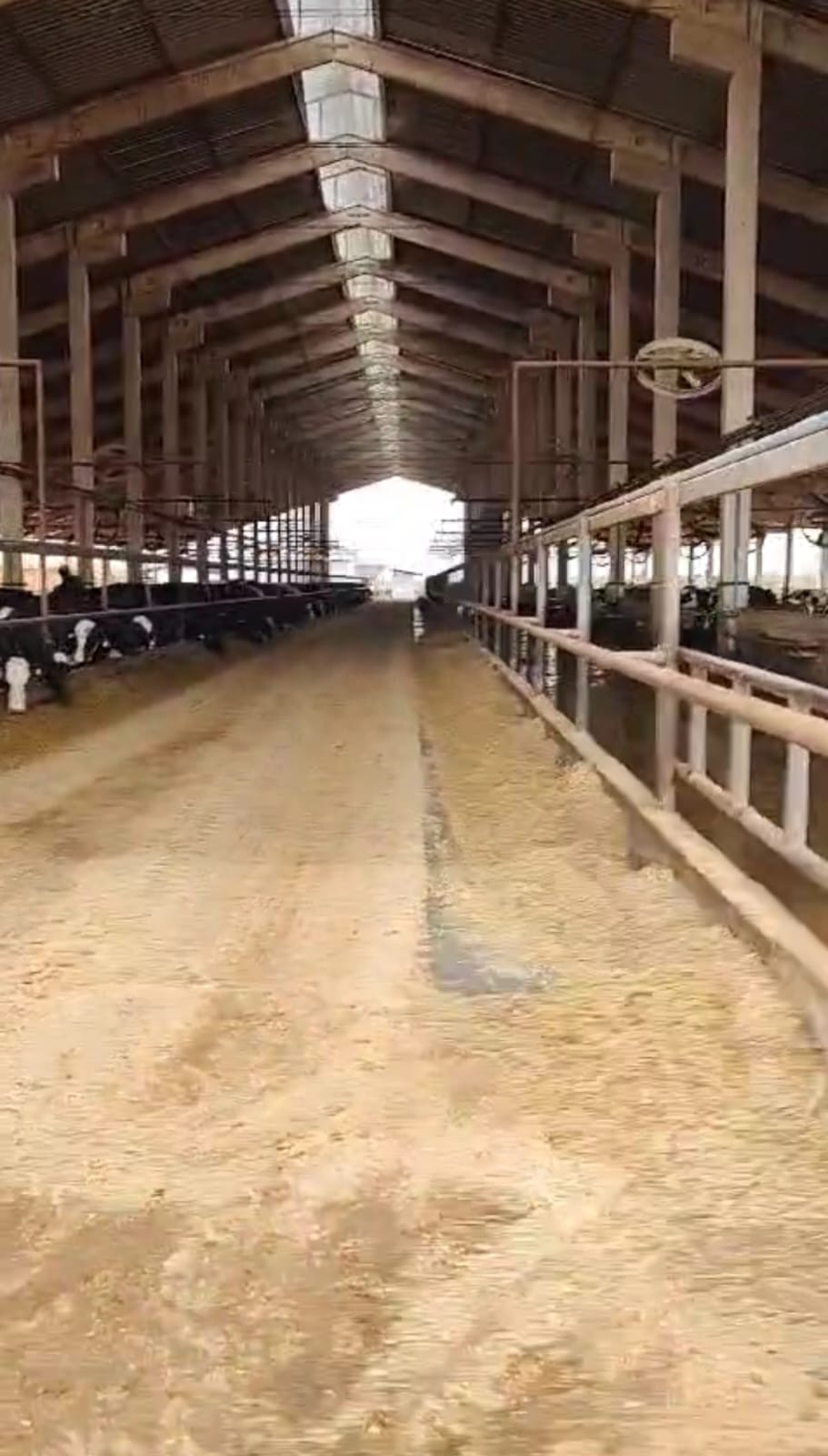Fazenda para venda em Curvelo Mg