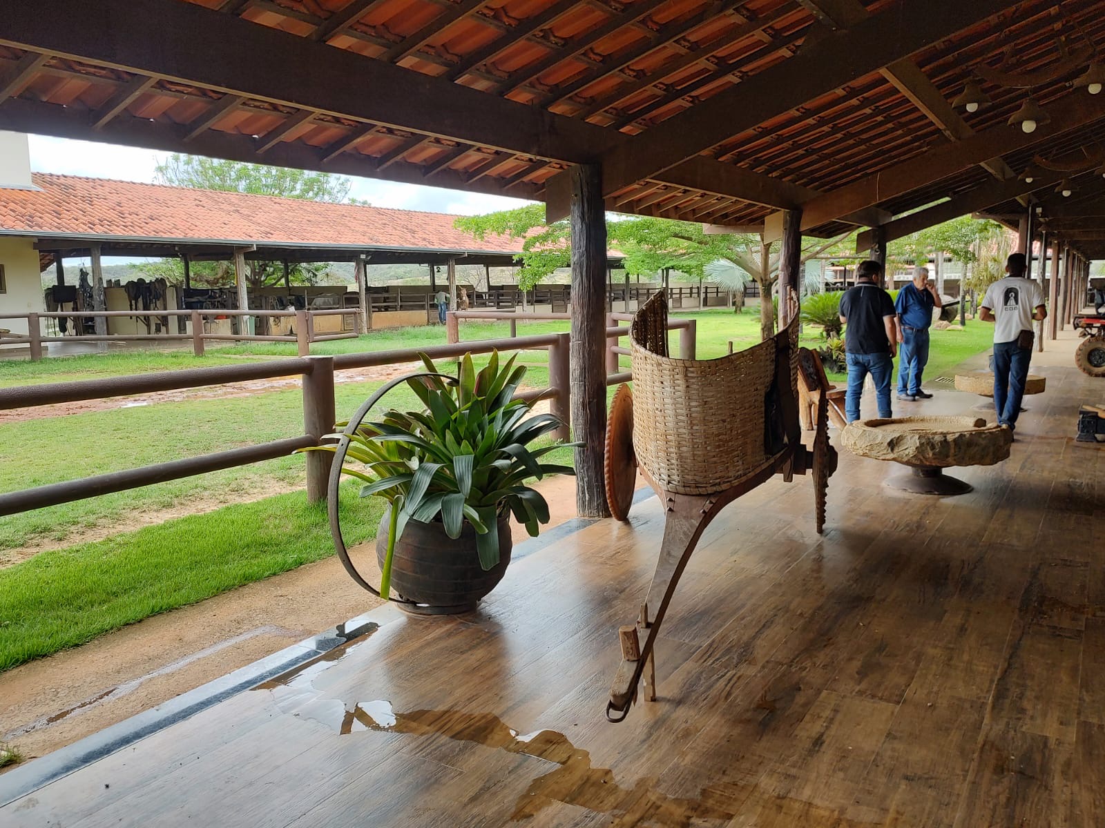 Fazenda para venda em Curvelo Mg