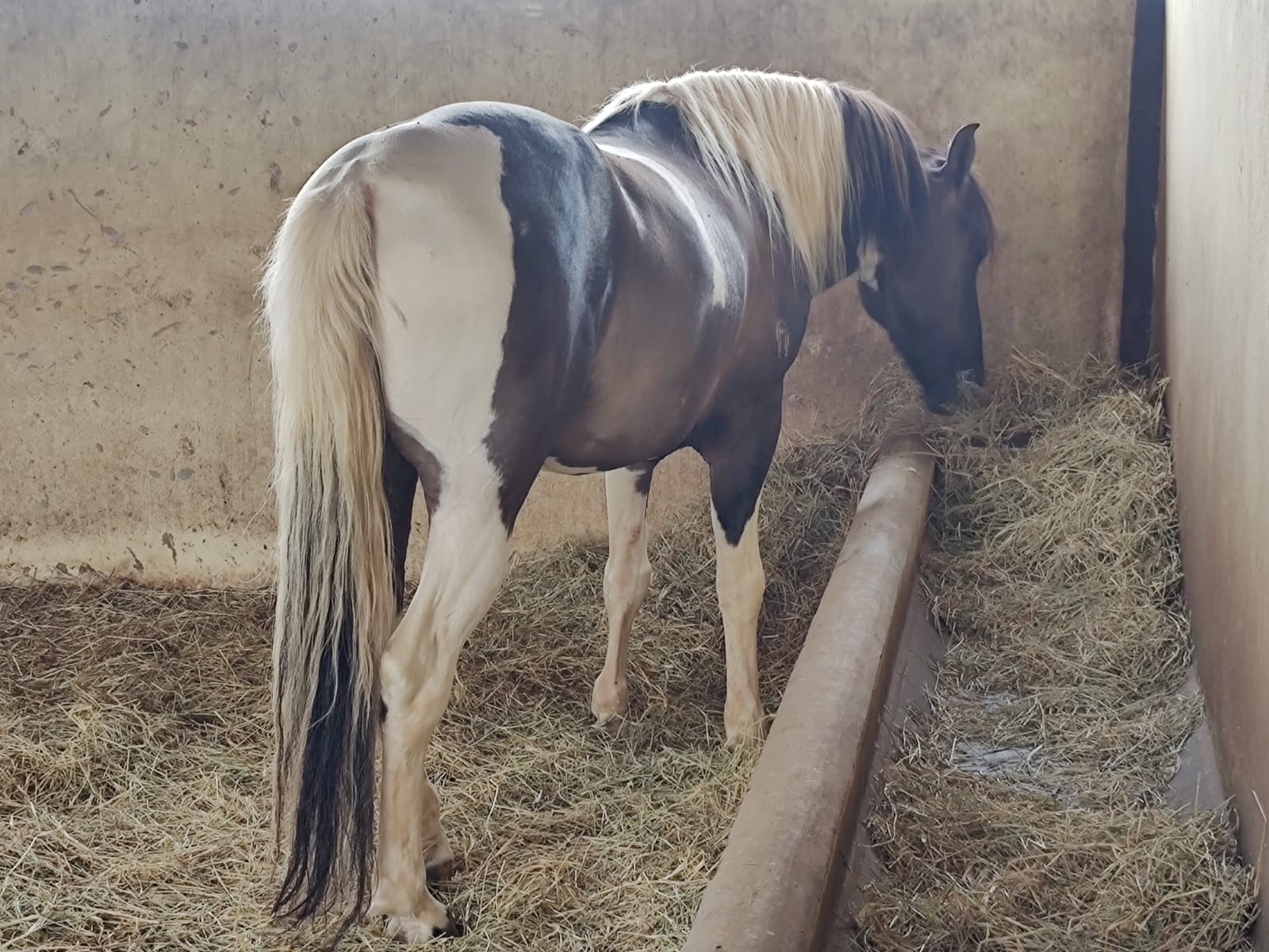 Fazenda para venda em Curvelo Mg