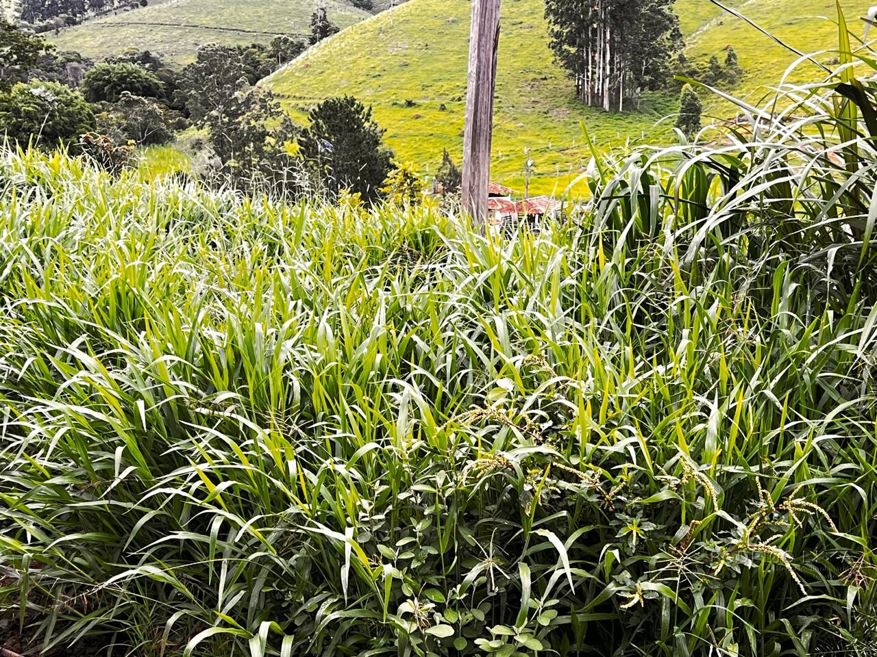 Sitio para venda próximo a São Lourenço - MG.