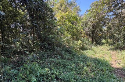 Terreno Rural para venda em Dom Viçoso MG