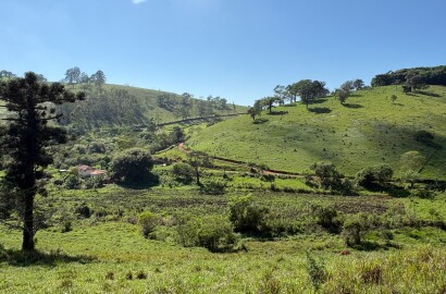 Terreno rural para venda em Dom Viçoso MG