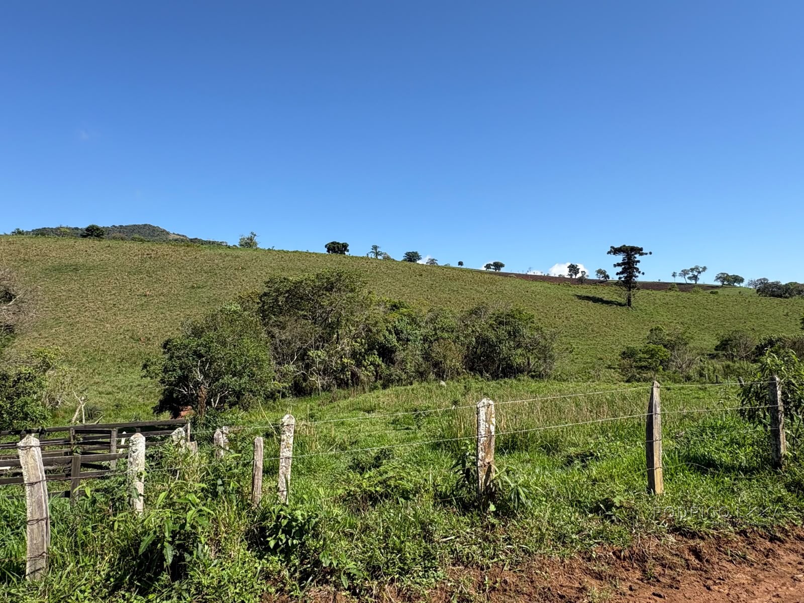 Terreno rural para venda em Dom Viçoso MG