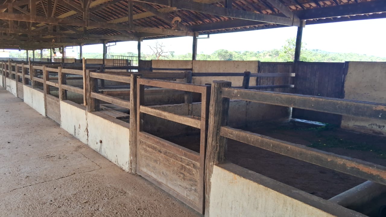 Fazenda para venda em Curvelo Mg
