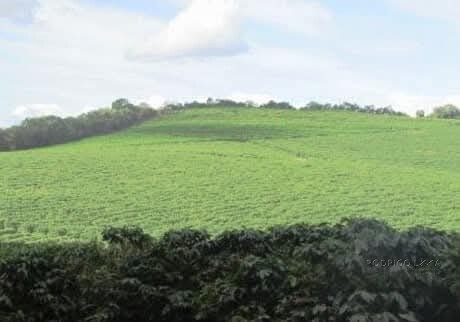 Linda fazenda para venda em Bom Sucesso MG.