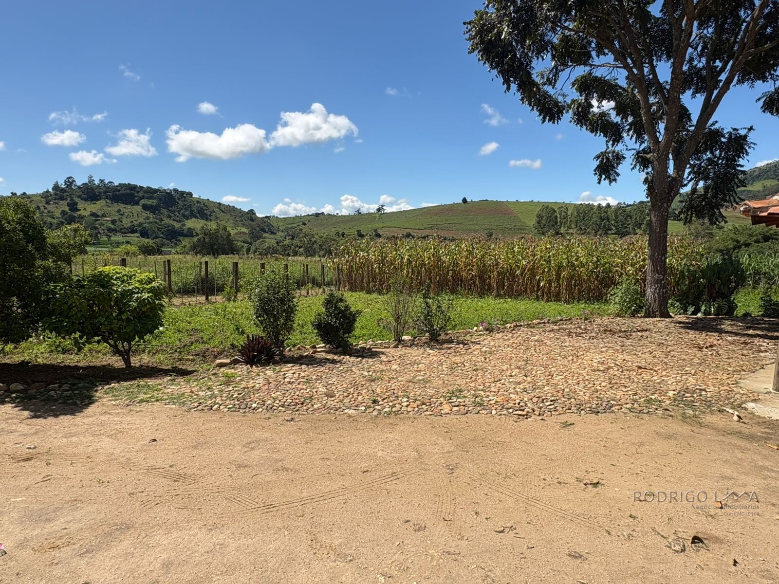 Chácara para venda em Dom Viçoso MG