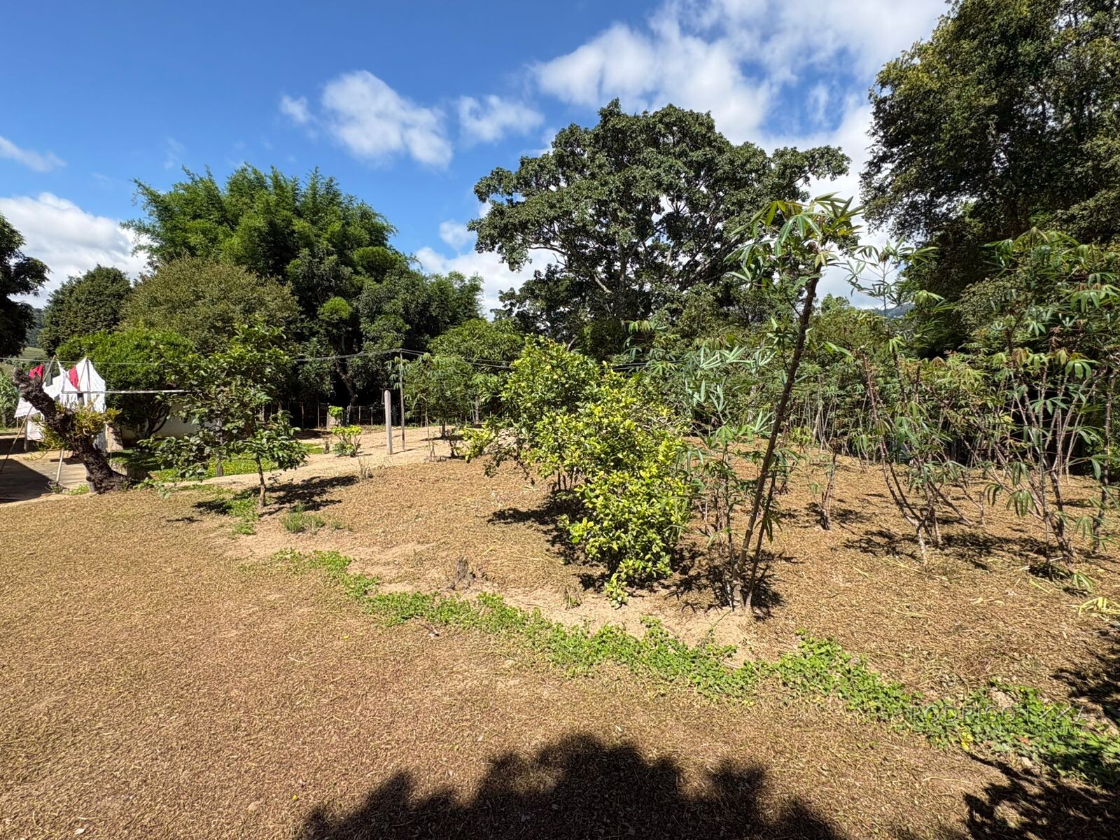 Chácara para venda em Dom Viçoso MG