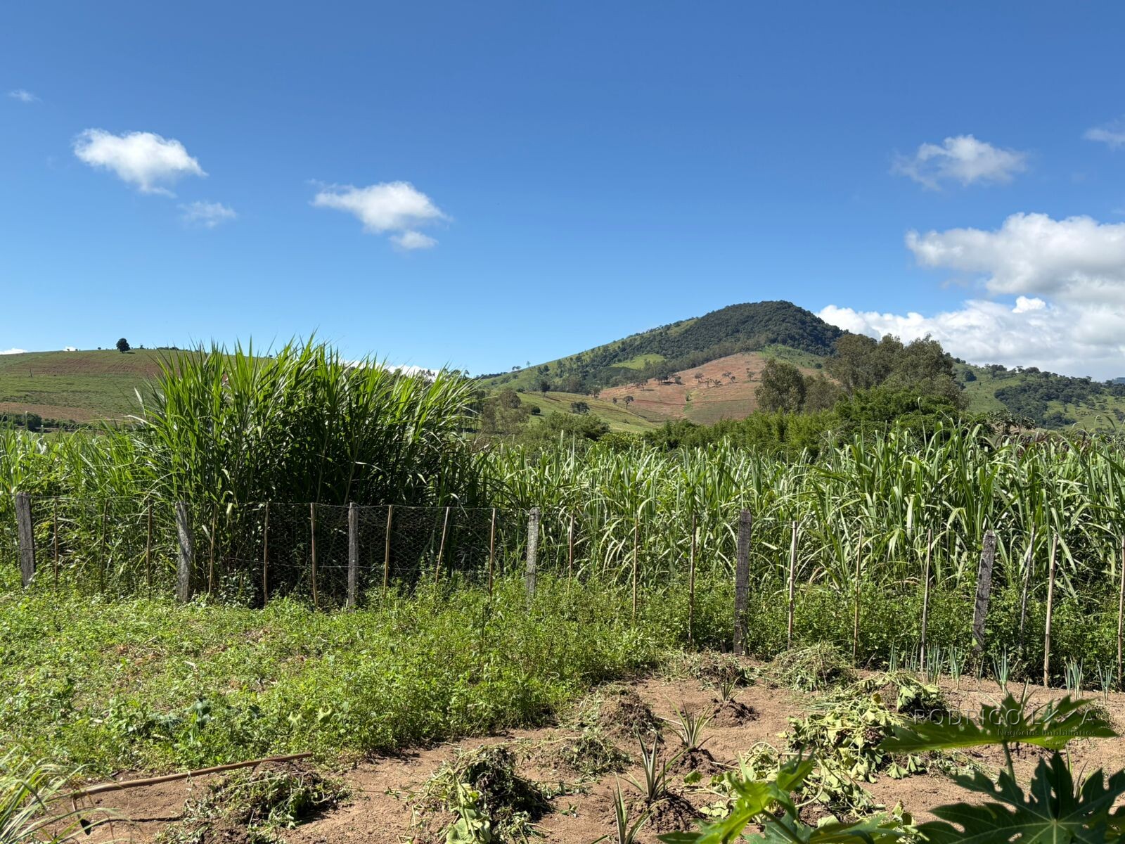 Chácara para venda em Dom Viçoso MG