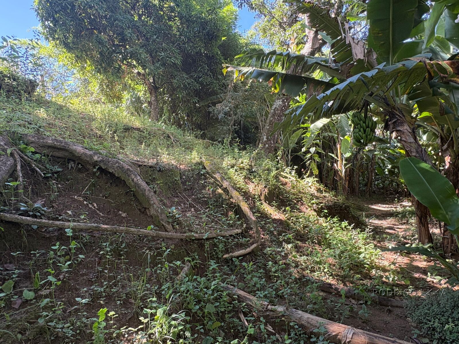 Chácara para venda em Dom Viçoso MG