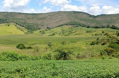 Fazenda para venda em Três Corações MG