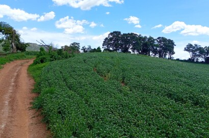 Fazenda para venda em Três Corações MG