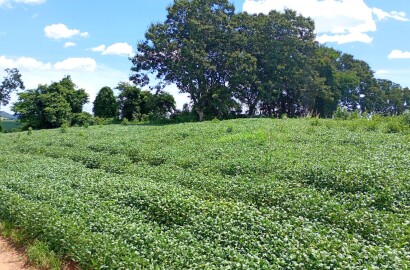 Fazenda para venda em Três Corações MG
