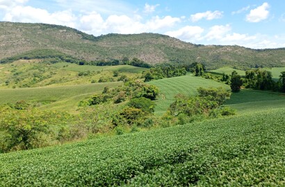 Fazenda para venda em Três Corações MG