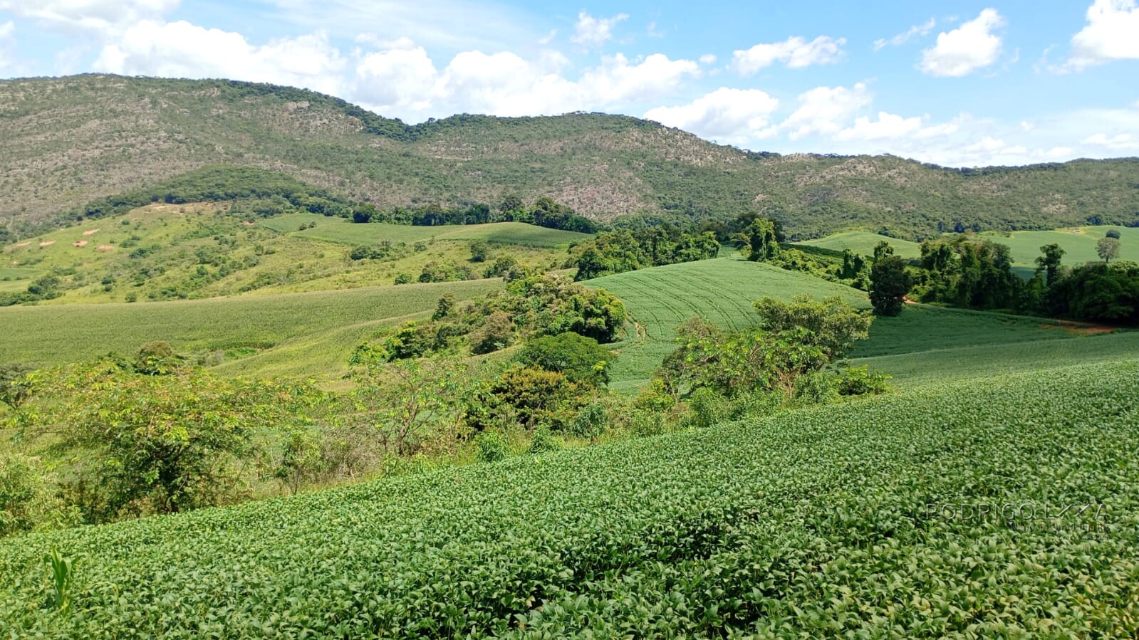 Fazenda para venda em Três Corações MG