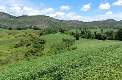 Fazenda para venda em Três Corações MG