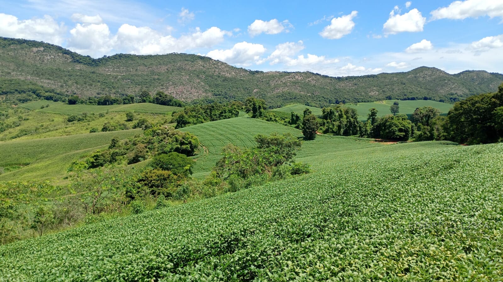 Fazenda para venda em Três Corações MG