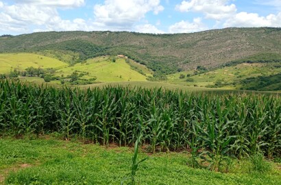 Fazenda para venda em Três Corações MG