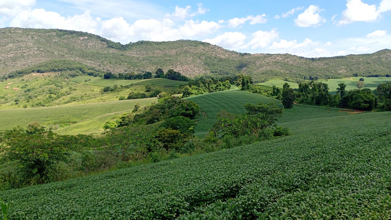 Fazenda para venda em Três Corações MG