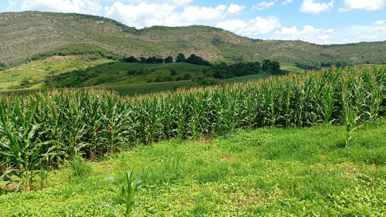 Fazenda para venda em Três Corações MG