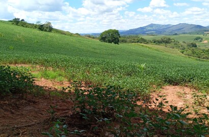 Fazenda para venda em Três Corações MG