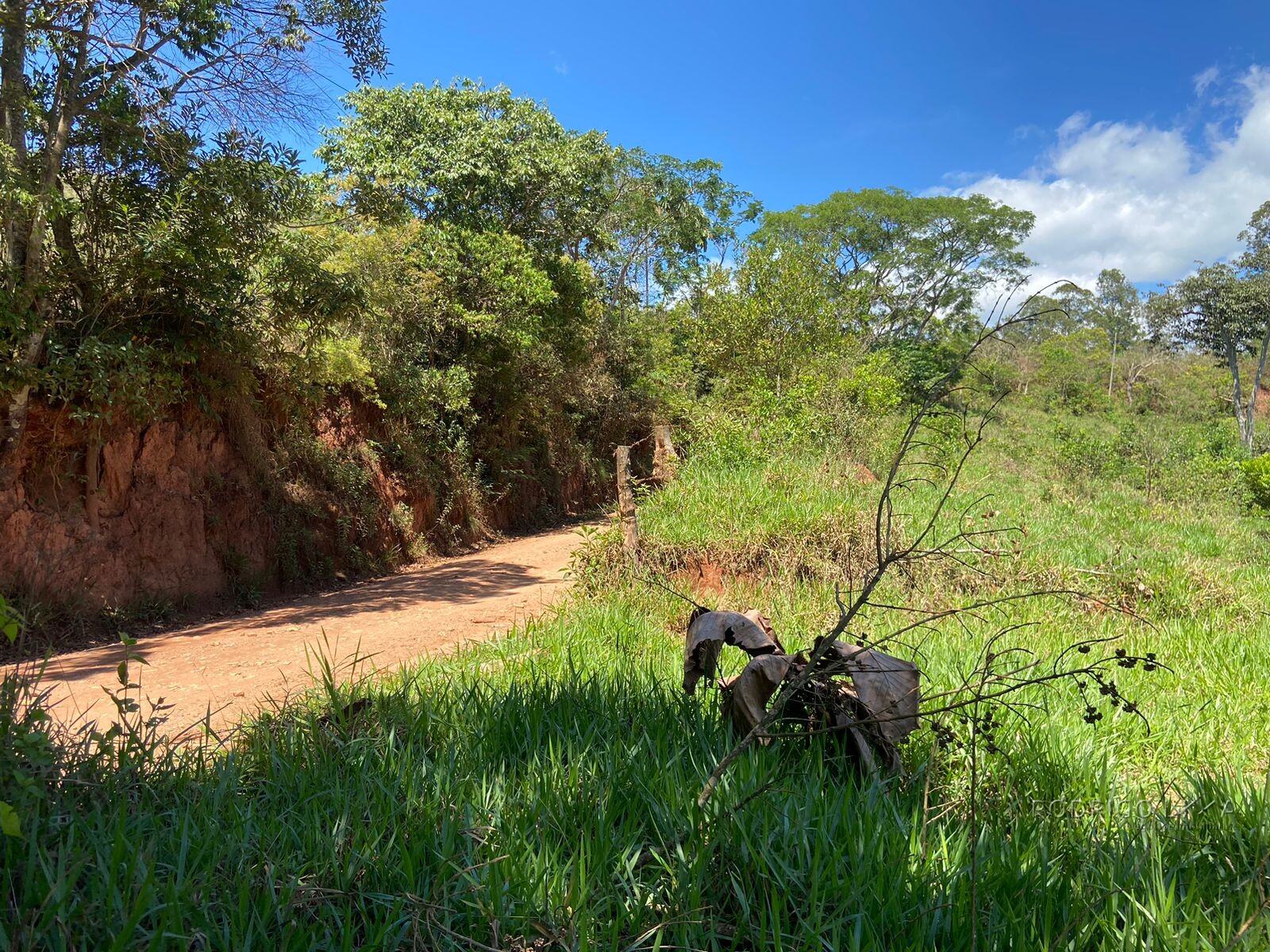 Ótima área rural para venda em Dom Viçoso MG