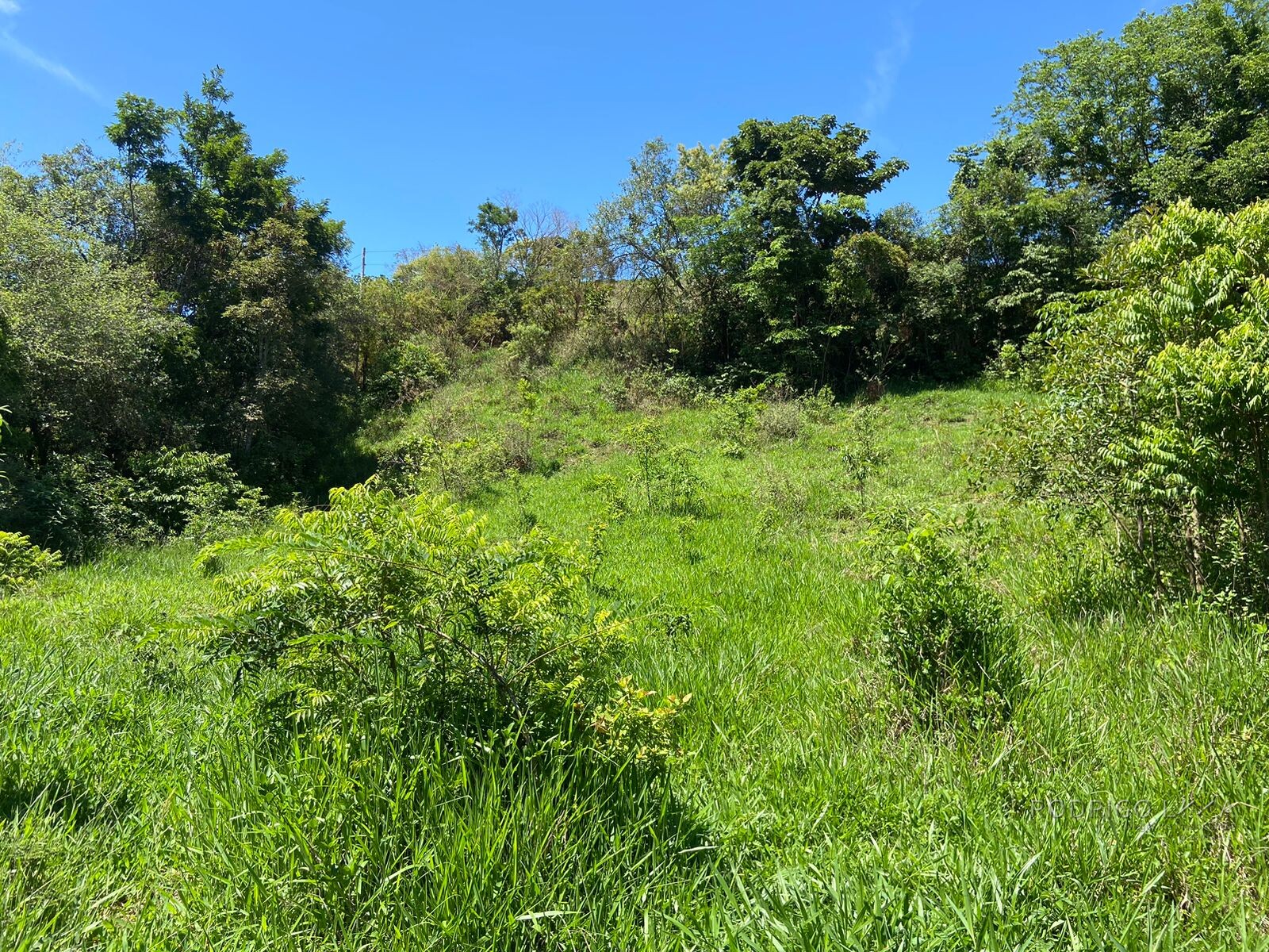 Ótima área rural para venda em Dom Viçoso MG