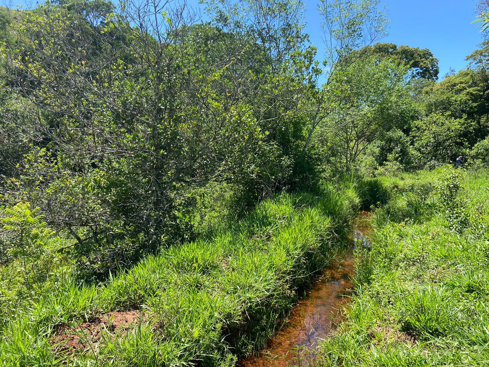 Ótima área rural para venda em Dom Viçoso MG