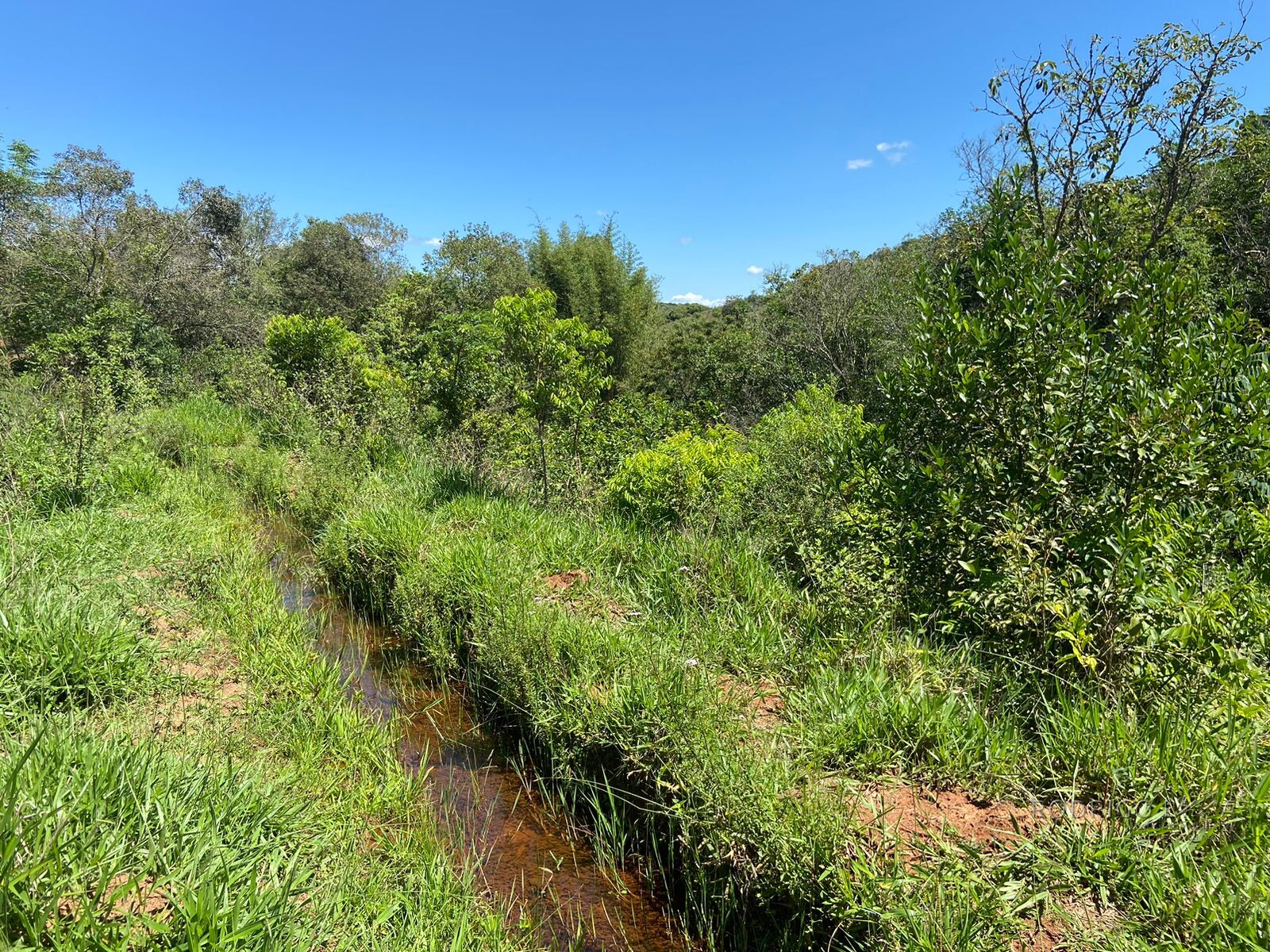 Ótima área rural para venda em Dom Viçoso MG