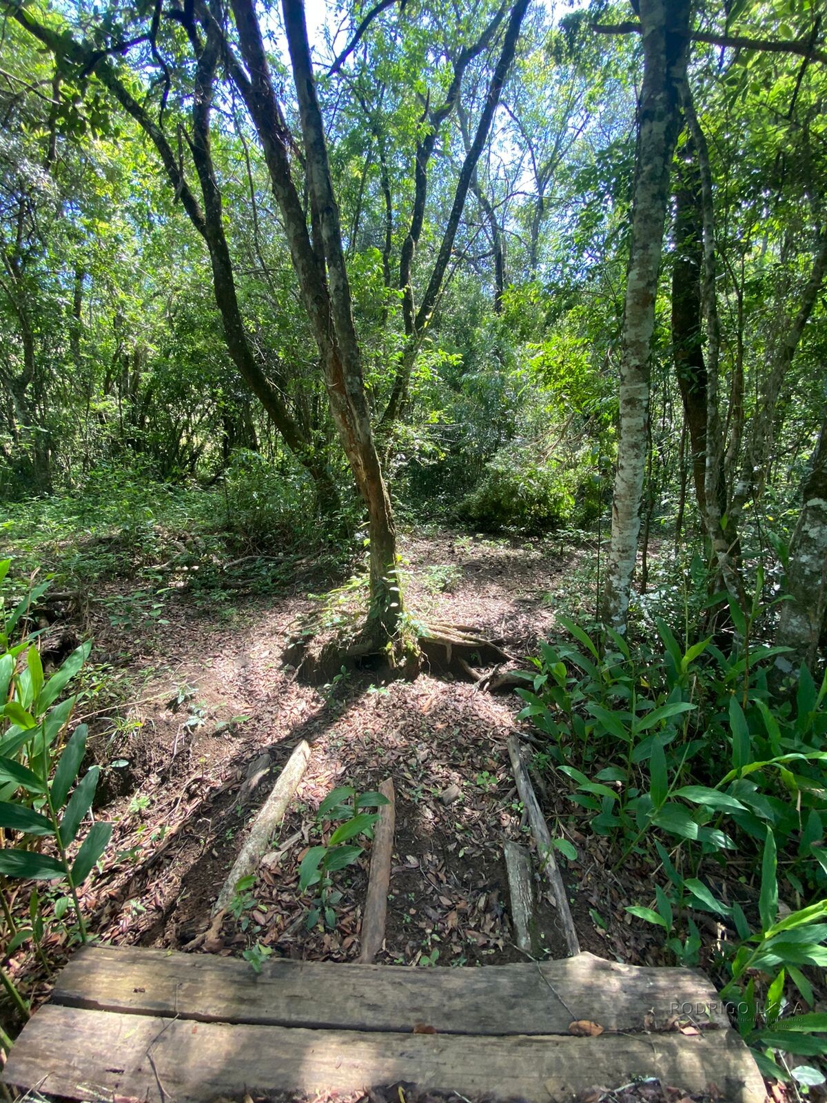 Ótima área rural para venda em Dom Viçoso MG