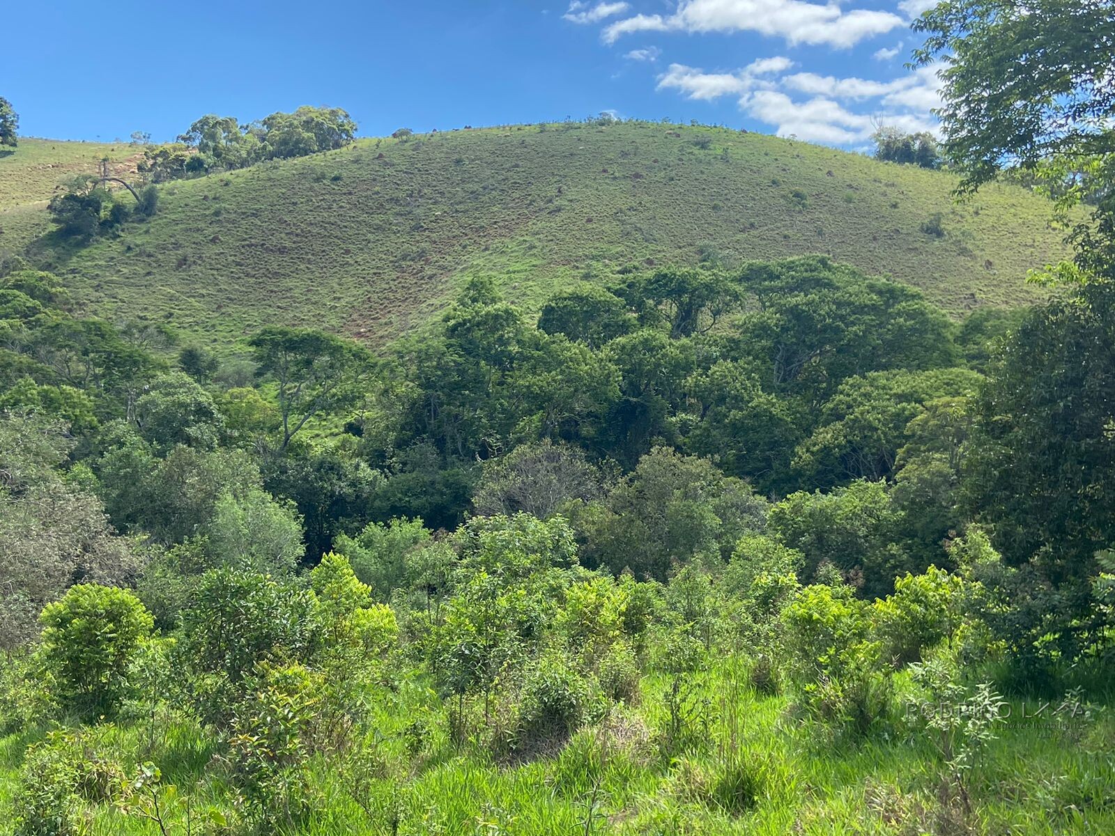 Ótima área rural para venda em Dom Viçoso MG