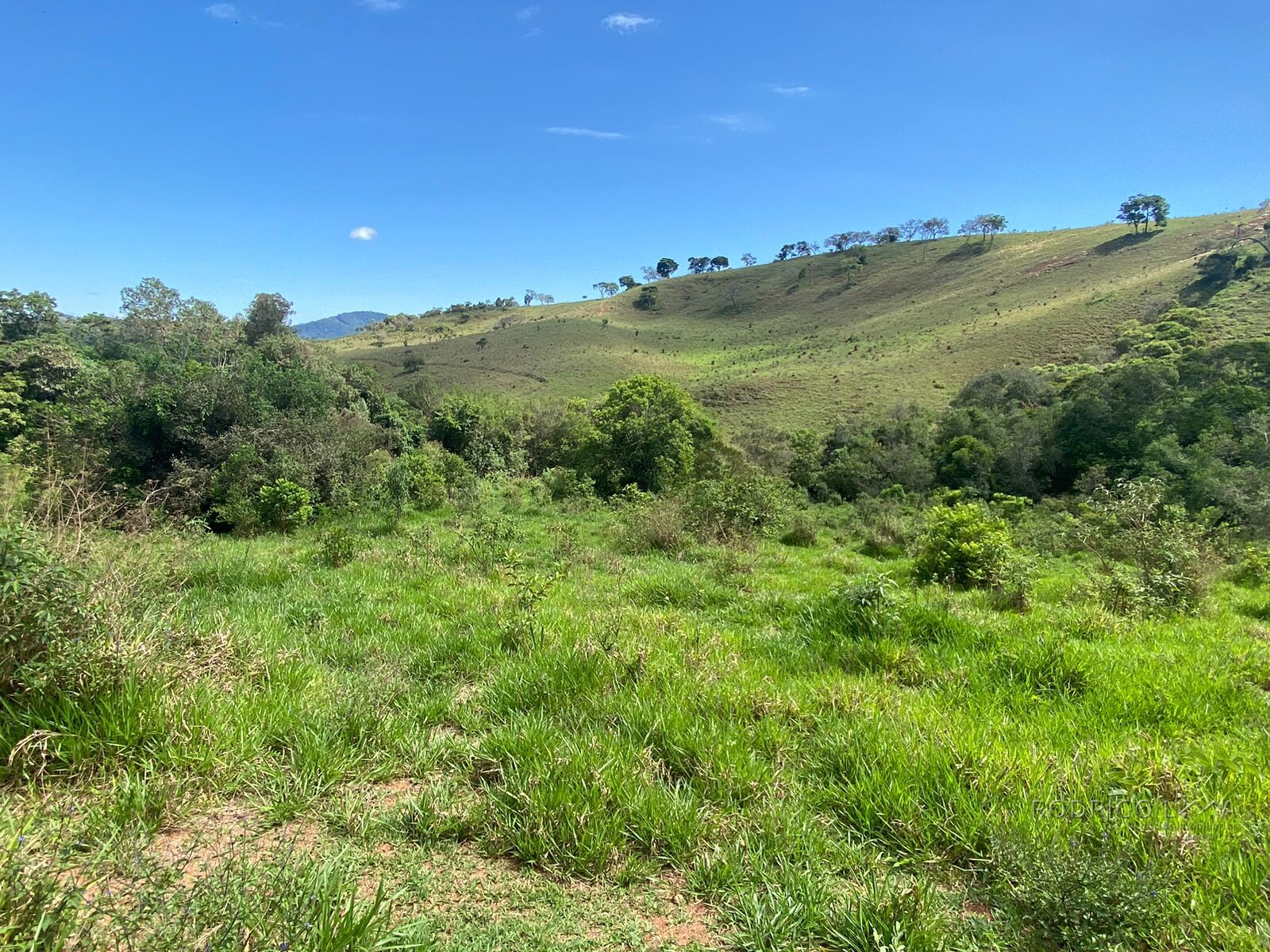 Ótima área rural para venda em Dom Viçoso MG