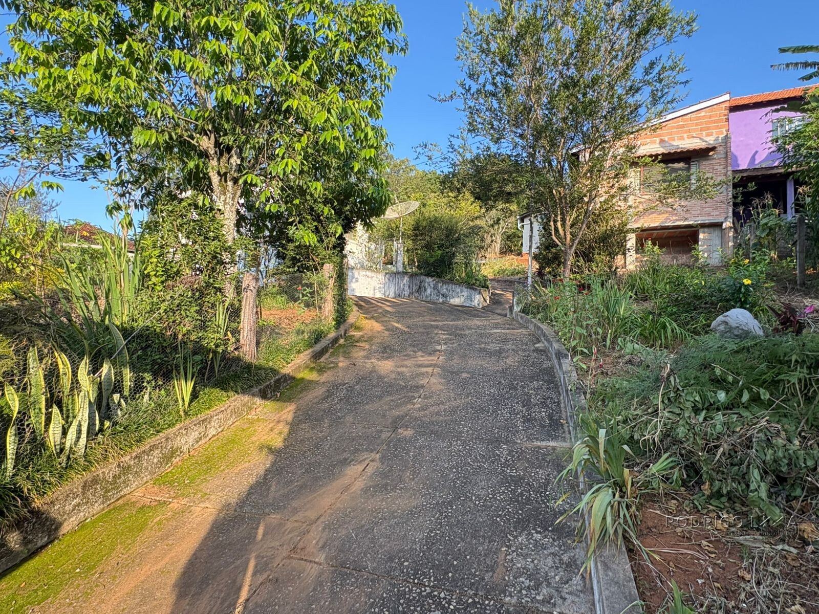 Propriedade Rural para venda em Dom Viçoso MG