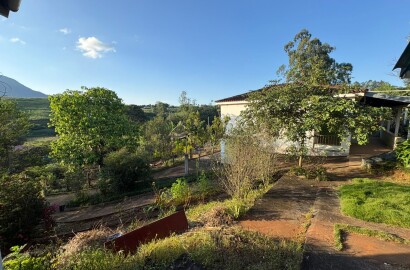 Propriedade Rural para venda em Dom Viçoso MG