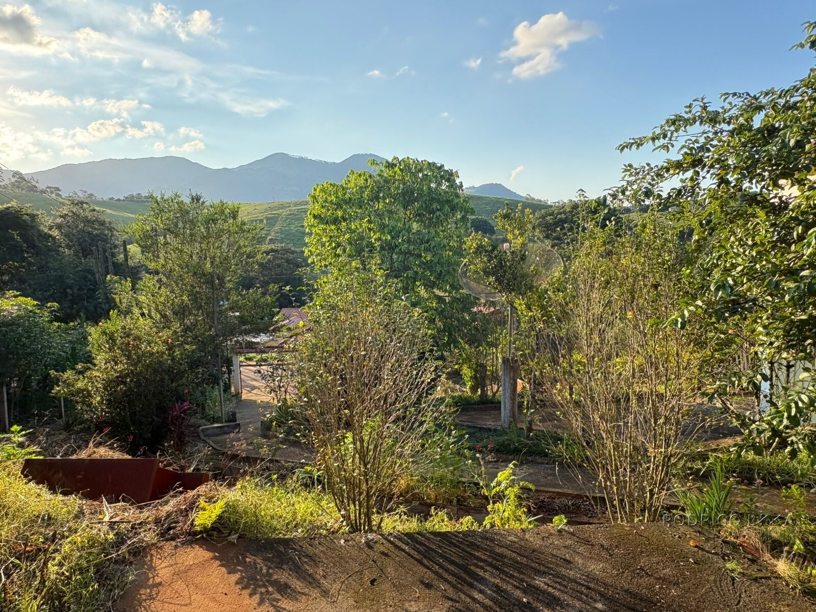 Propriedade Rural para venda em Dom Viçoso MG