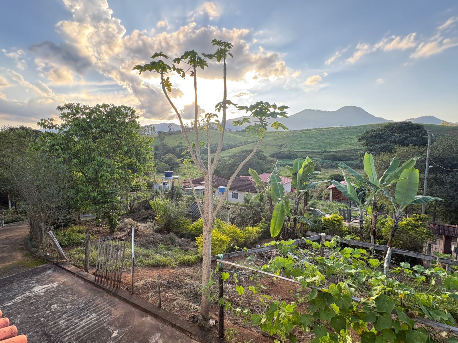 Propriedade Rural para venda em Dom Viçoso MG