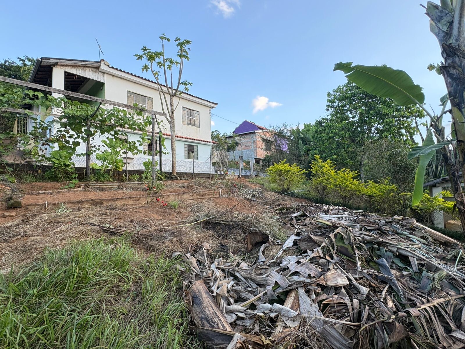 Propriedade Rural para venda em Dom Viçoso MG