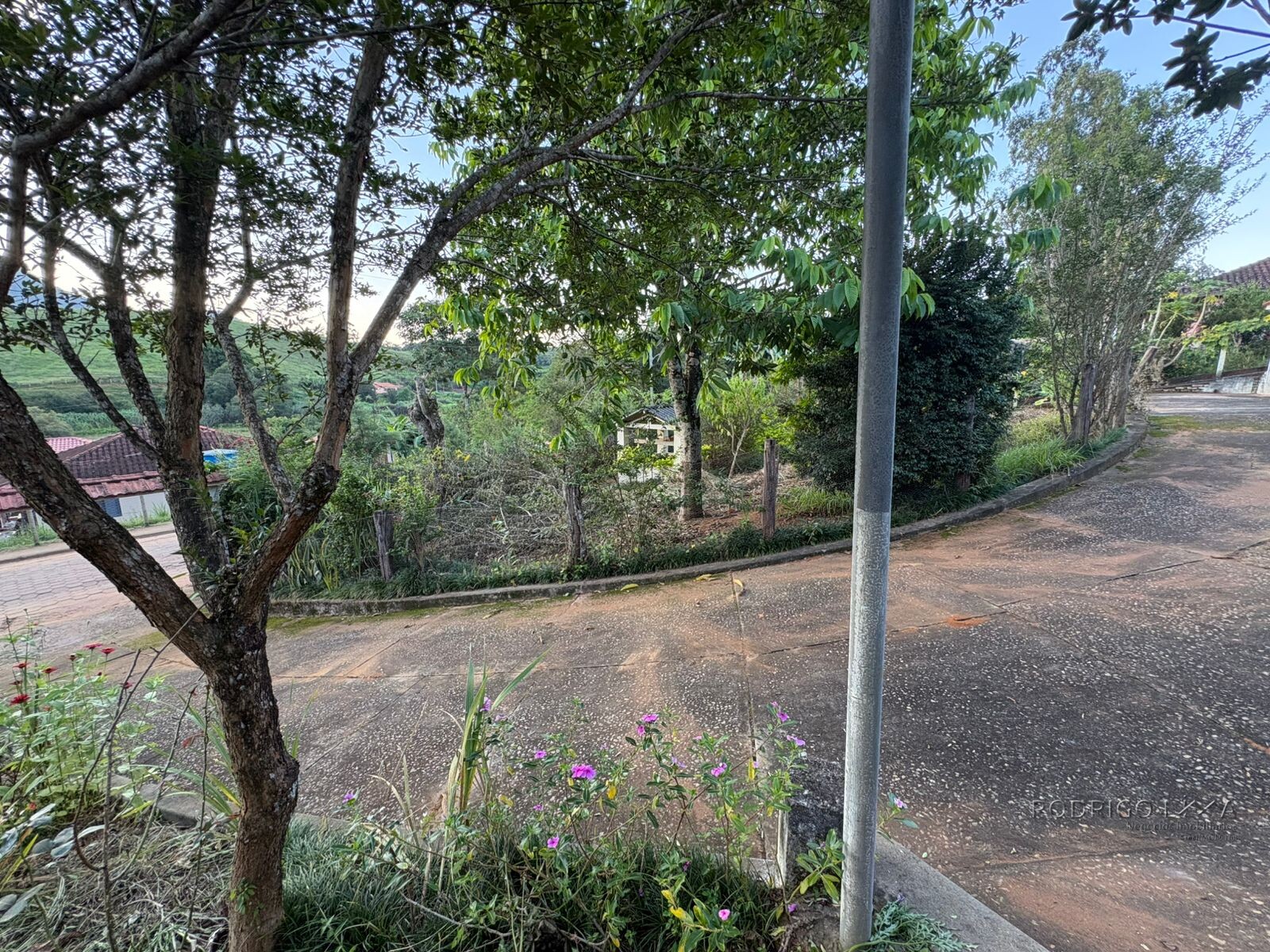 Propriedade Rural para venda em Dom Viçoso MG