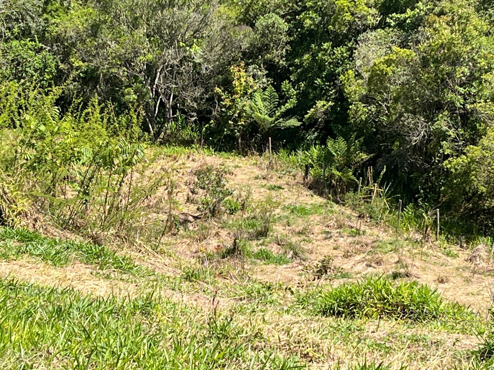 Chácara para venda 20 minutos de São Lourenço MG