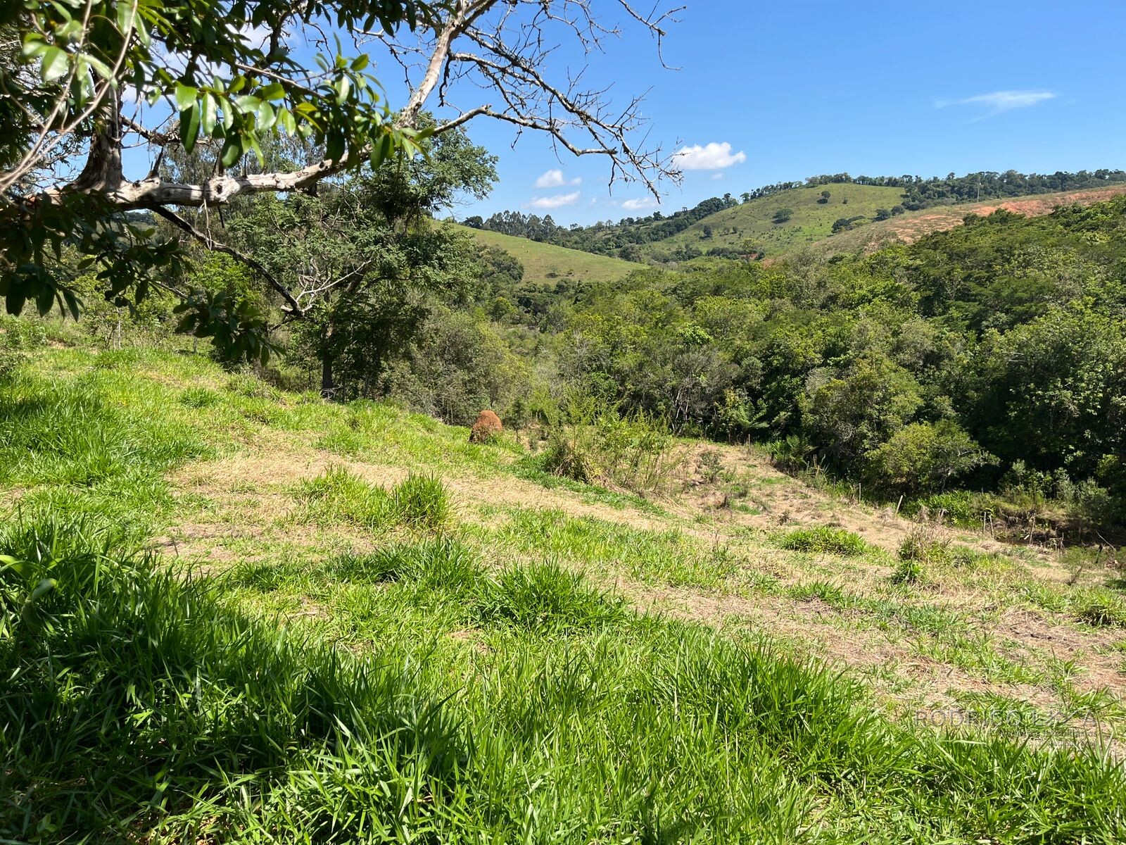 Chácara para venda 20 minutos de São Lourenço MG