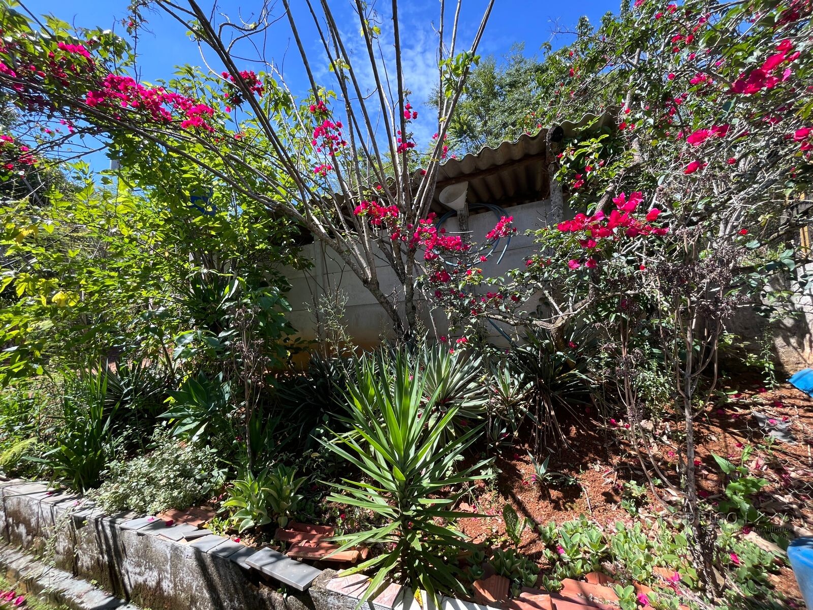 Chácara para venda 20 minutos de São Lourenço MG