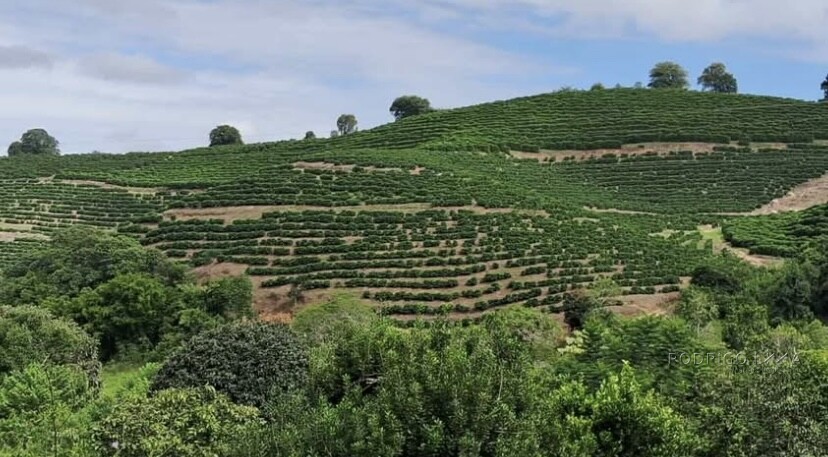 Fazenda para venda em Carmo de Minas - MG