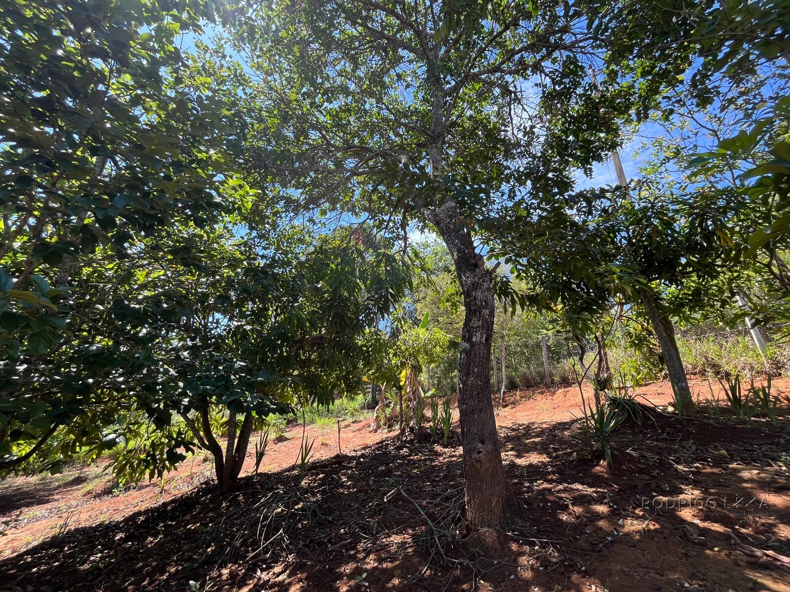 Chácara para venda 20 minutos de São Lourenço MG