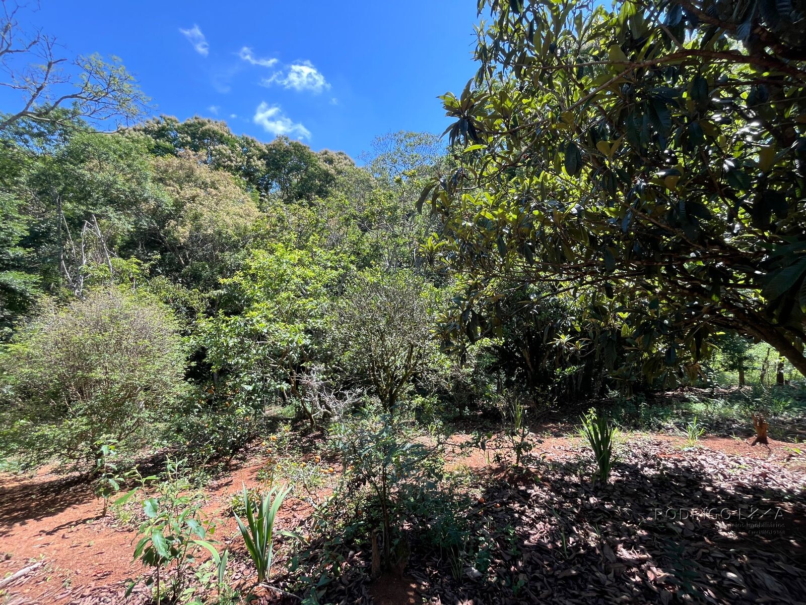 Chácara para venda 20 minutos de São Lourenço MG