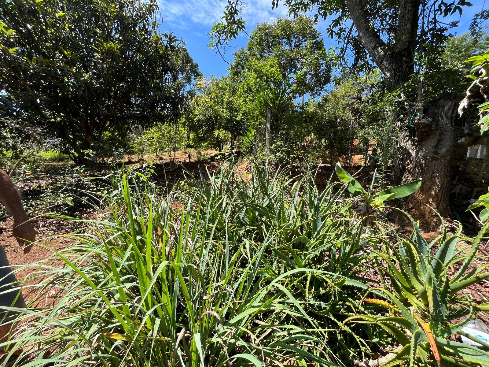 Chácara para venda 20 minutos de São Lourenço MG